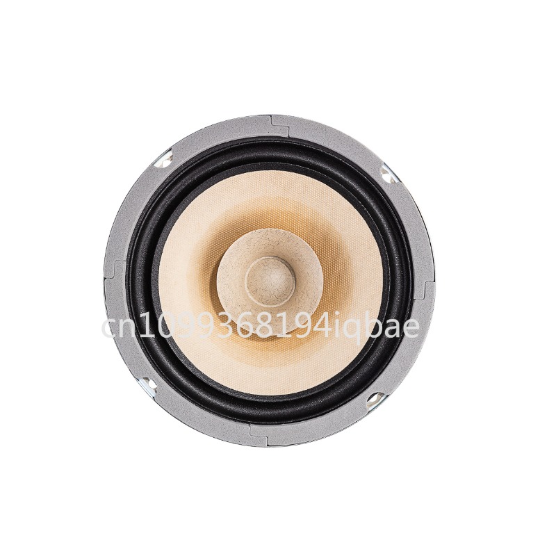 Diy Speaker - Un paio di altoparlanti HiFi full-range