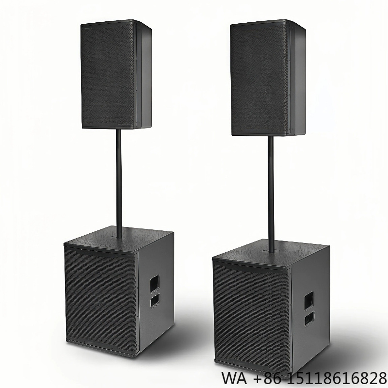 Subwoofer - Sistema Audio Attivo con Altoparlante da