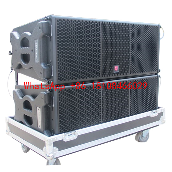 Woofer - Sistema Audio Line Array Attivo e