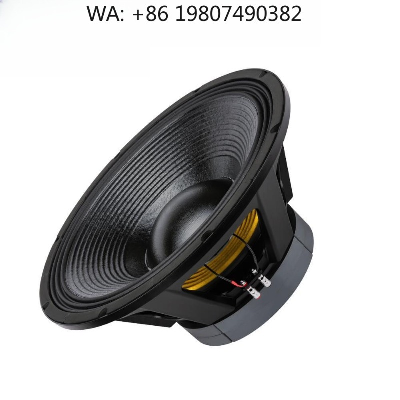 Subwoofer - Subwoofer Professionale da 21 Pollici con