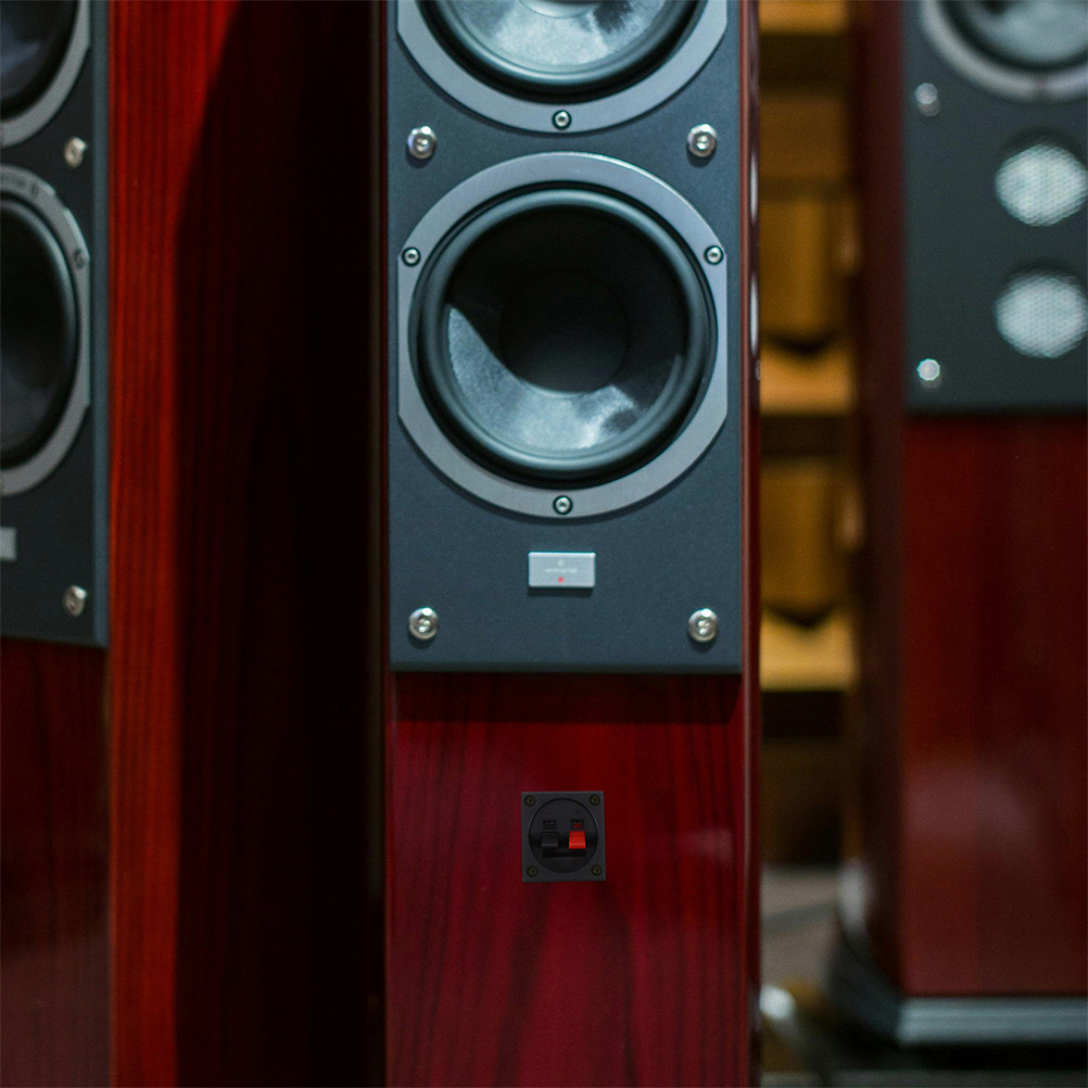 Speaker Terminal - 2 pezzi di terminali metallici per