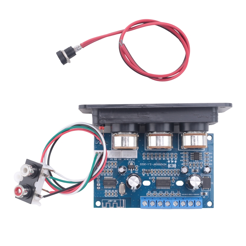 Scheda Amplificatore Audio Blu - Class D Amplifier recensione e prezzo