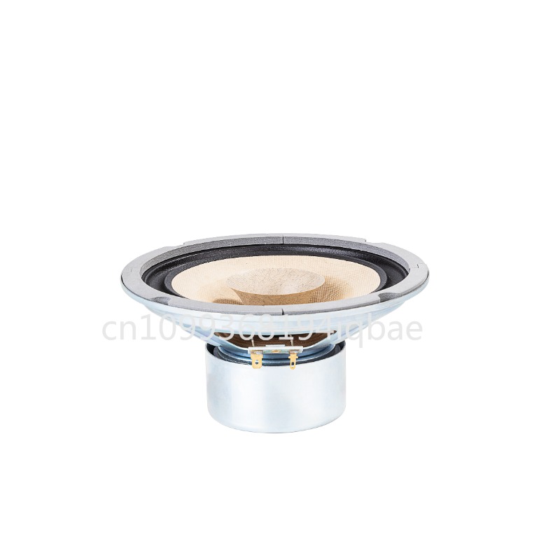 Un paio di altoparlanti HiFi f - Diy Speaker recensione e prezzo