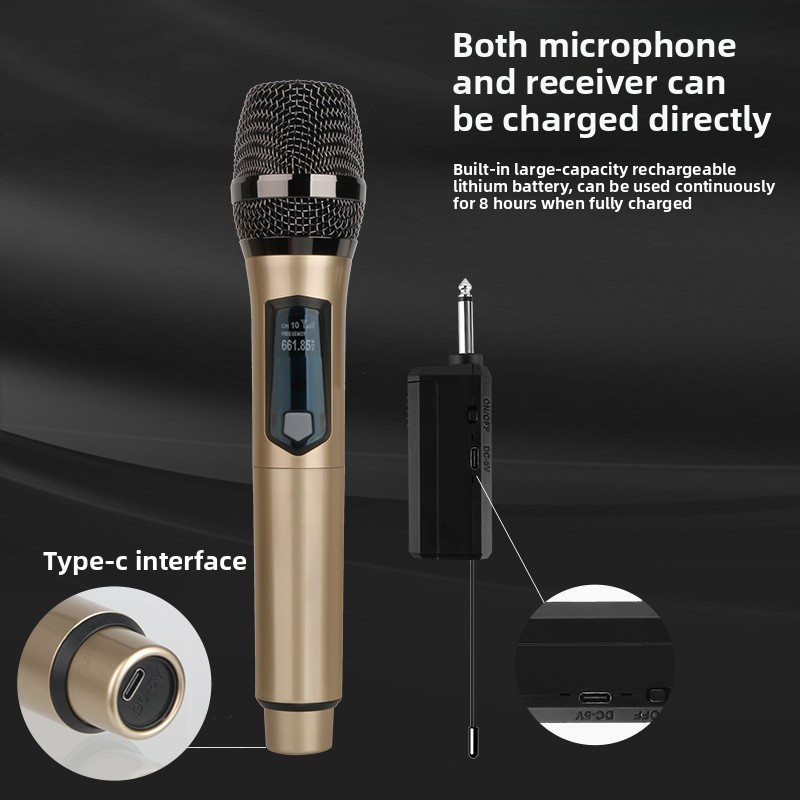 Microfono wireless a 2 canali  - Ribbon Microphone recensione e prezzo