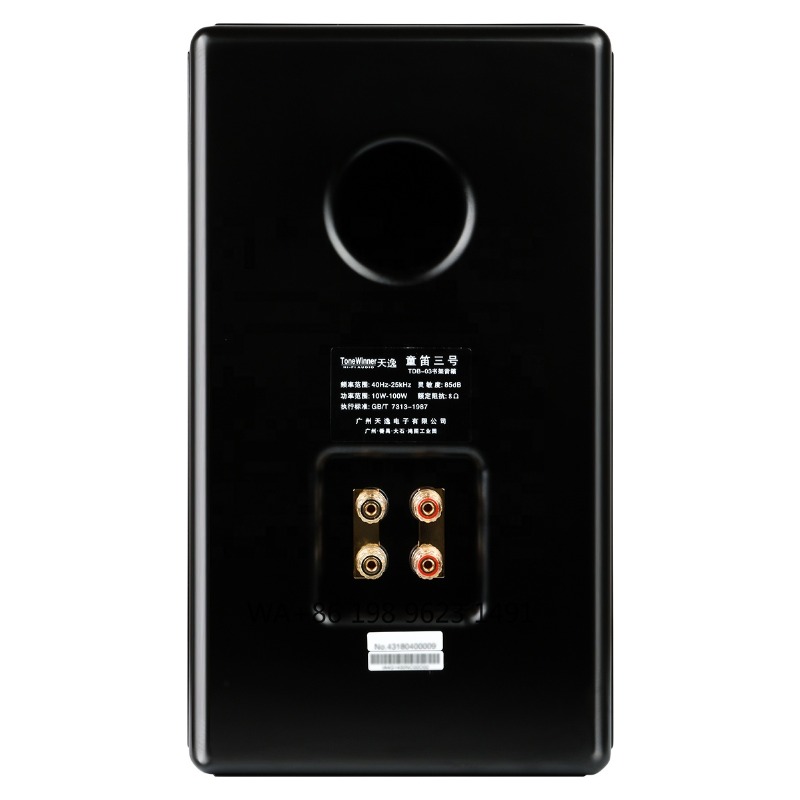 Altoparlante Hi-Fi da Scaffale - Speaker Driver recensione e prezzo