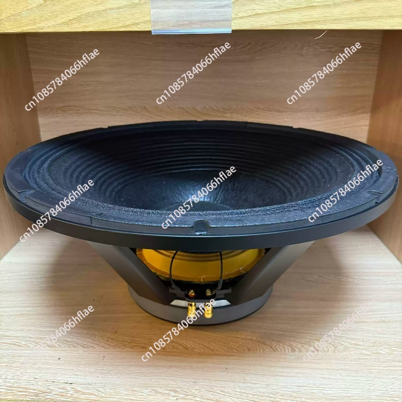Altoparlante Full Range da 21  - Speaker Driver recensione e prezzo