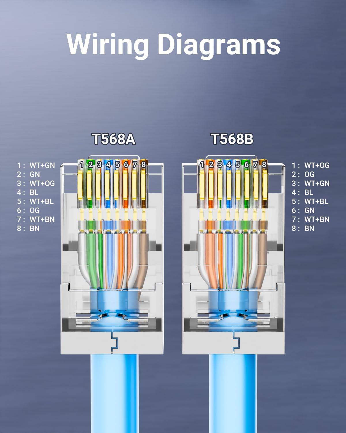 Connettori RJ45 schermati Cat  - Rj45 Jack recensione e prezzo