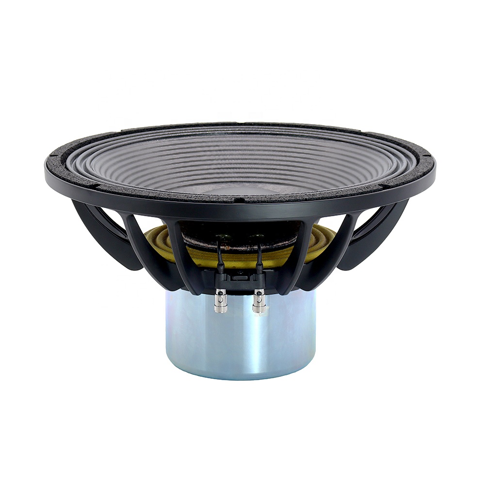 Nuovo Altoparlante Professiona - Subwoofer recensione e prezzo