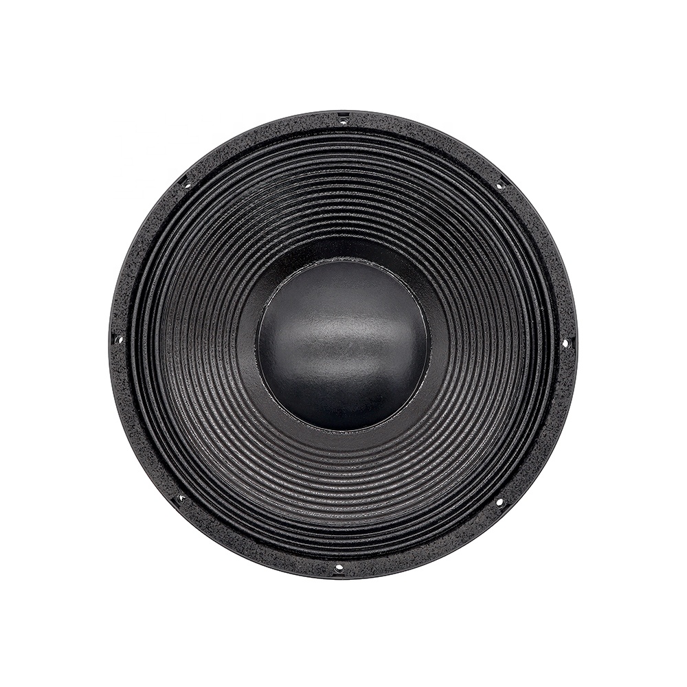 Nuovo Altoparlante Professiona - Subwoofer recensione e prezzo
