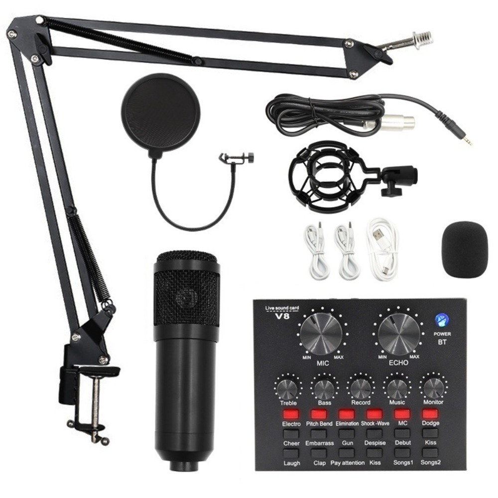 Kit Microfono a Condensatore B - Condenser Microphone Kit recensione e prezzo