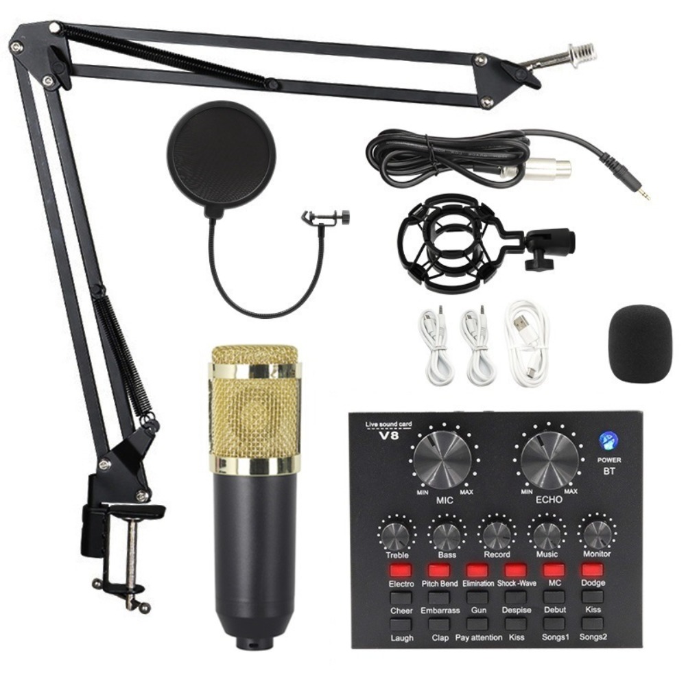 Kit Microfono a Condensatore B - Condenser Microphone Kit recensione e prezzo