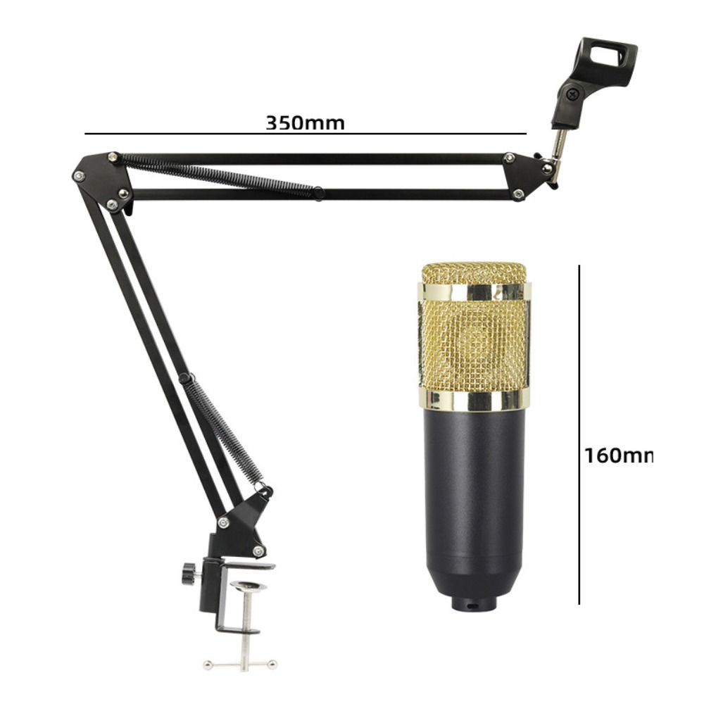Kit Microfono a Condensatore B - Condenser Microphone Kit recensione e prezzo