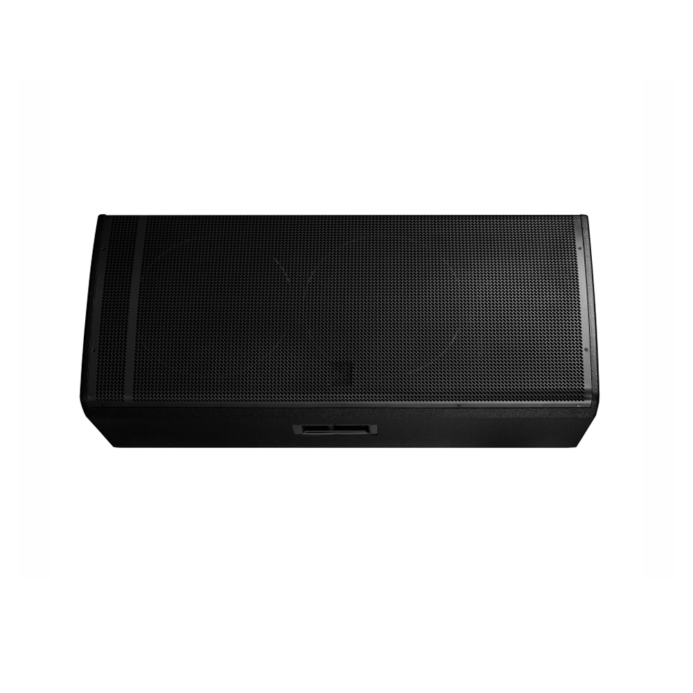 Altoparlante Attivo Profession - Speaker Driver recensione e prezzo