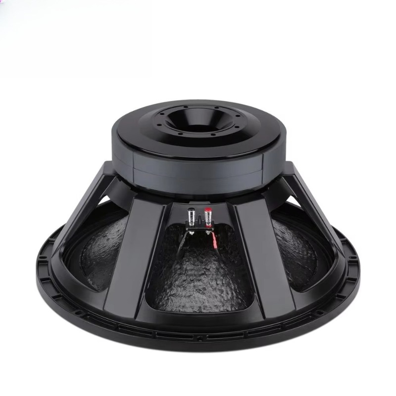 Subwoofer Professionale da 21  - Subwoofer recensione e prezzo