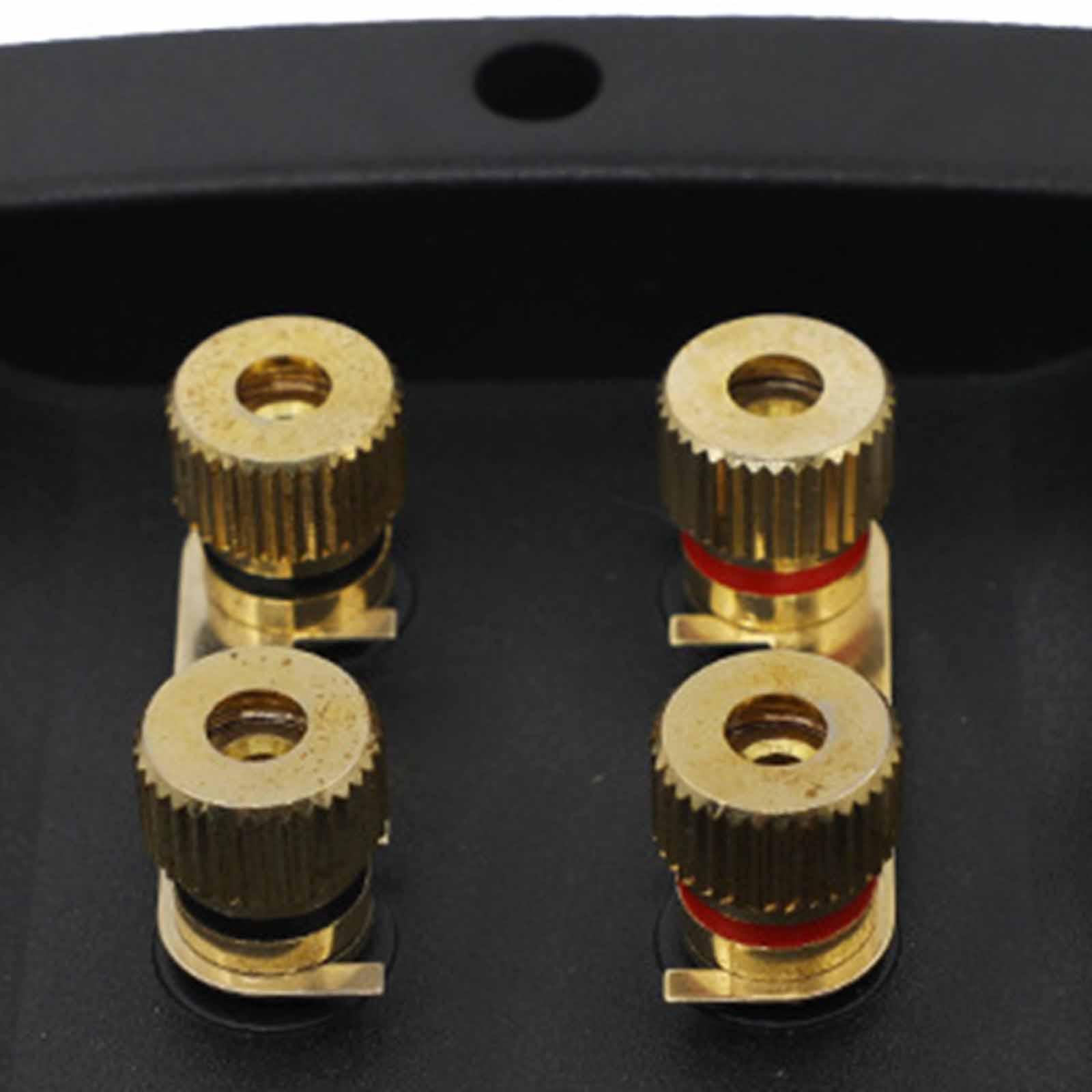 Connettore a vite per altoparl - Speaker Terminal recensione e prezzo