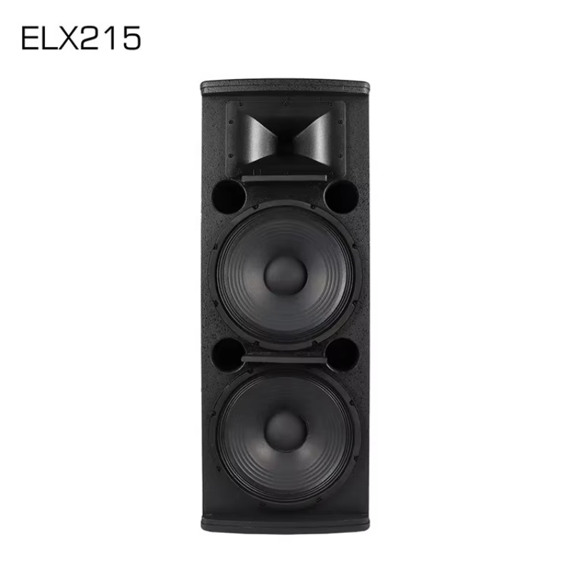 Subwoofer Professionale a Gamm - Subwoofer recensione e prezzo