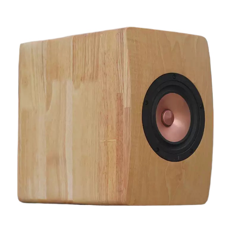DZ‑06 Unità Altoparlante Coass - Speaker Driver recensione e prezzo