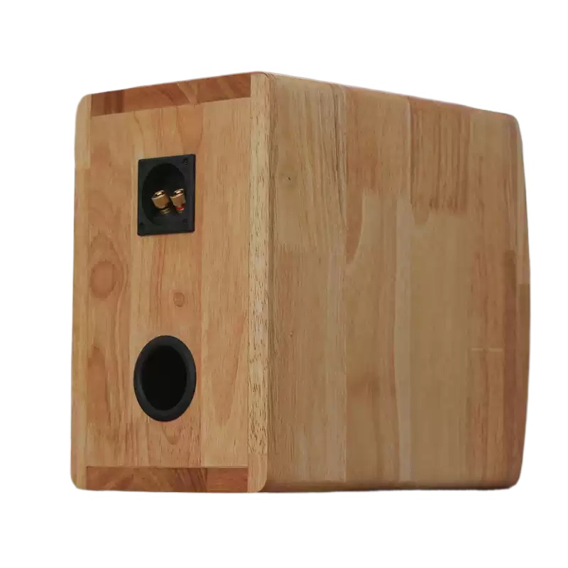 DZ‑06 Unità Altoparlante Coass - Speaker Driver recensione e prezzo